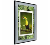 Paris Prix Toucan in the Frame