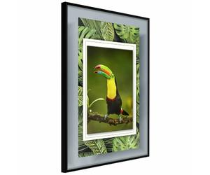 Paris Prix Toucan in the Frame