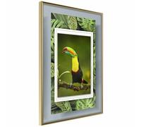 Paris Prix Toucan in the Frame - 40x60 Or