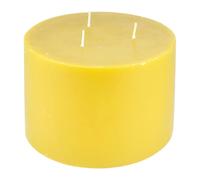 Bougie Déco Parfumée Trendie 15cm Miel Sauvage
