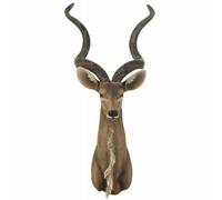 Paris Prix Trophée Mural Tête d'Antilope - 85 cm