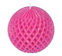 Paris prix Tropical Fresh - Rose