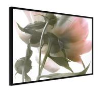 Paris prix Under the Flower - 60 cm
