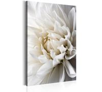 Paris prix White Dahlia - 00x0 cm