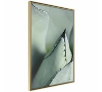 Paris prix Young Leaf of Agave - 21 cm