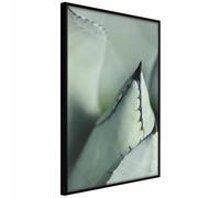 Paris prix Young Leaf Of Agave - 30 cm
