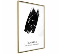 Paris Prix Zodiac Aquarius I - 40 x 60 cm