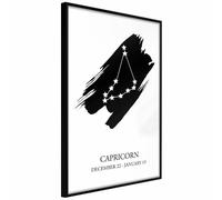 Paris prix Zodiac Capricorn I - 60 cm