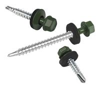 PAROTEC 250x Vis pour tôles trapézoïdales 4,8 x 25 mm RAL 6020 Vert | vis autoperceuses et autotaraudeuses avec rondelle d'étanchéité EPDM, tête hexagonale