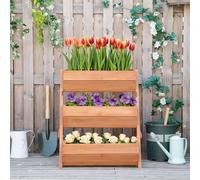 Parterre de jardin - Bois - 3 couches - Surélevé - 66 L