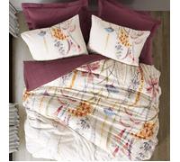 Parure housse de couette 3 pcs 200x200 cm avec 2 taies 60x60 cm 100 % coton Flos