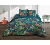 Parure lit 2 pers 160x200 Pur coton 57 fils/cm² Acapulco - Drap-housse 160x200 bonnet 25 + Drap plat 240x300 + 2 taies 63x63