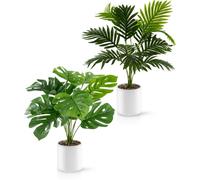 PASCH Lot de 2 palmiers artificiels Monstera et Areca (60 cm) dans des pots en céramique blancs : grandes plantes artificielles | Plantes artificielles comme de vraies plantes | Faux plantes | Plantes