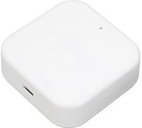 Passerelle Wi-Fi intelligente 5 V avecvocale et Bluetooth