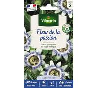 Graines - Vilmorin - Fleur de la Passion (Passiflore)