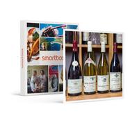 Passion Vins : Atelier ¿Nologique De 2h En France Pour 1 Personne - Smartbox - Coffret Cadeau Gastronomie