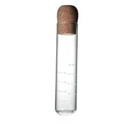 Passoire à thé, tube à essai, infuseur à thé, passoire à thé transparente, mini bouteille vide avec bouchon en liège, pour thé en vrac