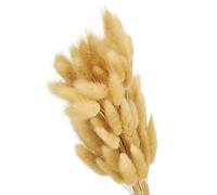 PATIKIL 120Pcs Queue de Lapin Naturelle Fleurs Séchées 40cm Beige | Mini Herbe de Pampa Lagurus Bouquet, pour Décoration Florale Mariage Noël