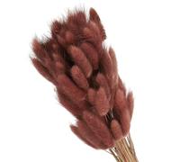 PATIKIL 120Pcs Queue de Lapin Naturelle Fleurs Séchées 40cm Marron | Mini Herbe de Pampa Lagurus Bouquet, pour Décoration Florale Mariage Noël