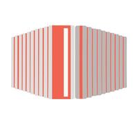 PATIKIL 22 Pcs Outils de Lecture Dyslexie Colorés pour Enseignants, Rouge | 2 Tailles de Règles de Lecture Guidée avec Bande Transparente Marque-pages