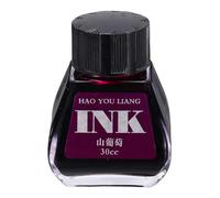 PATIKIL Encre pour Stylo Plume Violet Raisin 30ml Encre Calligraphie | En Bouteille, Couleur Non Carbone, Flux Fluide, Couleur Dip Set Dessin Fournitures Art Pour Écriture Peinture Journal