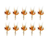PATIKIL Mini Bouquet Fleurs Séchées, 10 Pcs Herbe Pampa Naturelle Fleur avec Tige Décoration Gypsophile Boho Plante Florale Fleur pour Loisirs Créatifs DIY Cadeau Mariage, Orange