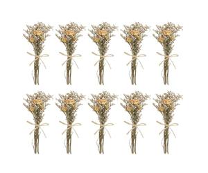 PATIKIL Mini Bouquet Fleurs Séchées, 10 Pcs Rose Naturelle Fleur avec Tige Décoration Gypsophile Boho Plante Florale pour Loisirs Créatifs DIY Accessoires Cadeau Mariage, Crème