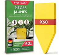 Pattler Piège à Moucherons Plantes Intérieur - 60 Unités. Anti Moucherons Plantes Intérieur Jaune Collant, Attrape Moucheron Efficace pour Terreau et Pots, Piège Jaune Double Face