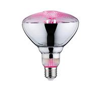 Paulmann 28737 Lampe LED Lumière horticole 6,5 watts Ampoule Lumière de croissance Éclairage Verre Lumière 1300 K E27