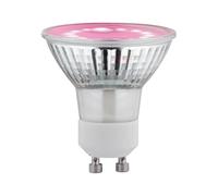 Paulmann Lampe pour plantes à LED, croissance 230 V GU10 3.5 W ambré 1 pc(s)