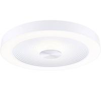 Paulmann 71179 Volea Plafonnier LED LED LED 4 W, 18.5 W blanc, argent