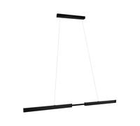 Paulmann 79888 LED luminaire en suspension Aptare incl. 1x18 / 1x18W gradable éclairage plafond Noir brossé luminaire suspendu Métal suspension 2700K