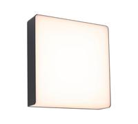 Paulmann 94840 Applique d'extérieur LED Azalena détecteur mouvement haute fréquence IP44 250x97 mm 3000K 8,5W 700lm 230V anthracite lumin. d'extérieur