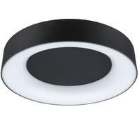 Paulmann Casca plafonnier 1x16 W noir PL71096