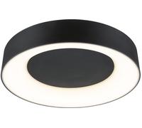Paulmann Casca plafonnier 1x23 W noir PL71097