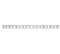 Paulmann Function MaxLED 500 Stripe 50Cm Blanc Chaud 3,5W 24V Argent