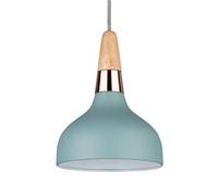 Paulmann Juna Suspension, À 1 Lampe, Ø 16 Cm turquoise, brun, cuivré
