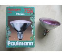 PAULMANN Lampe Croissance PAR30 ROSA Spot Natura E27 75 W