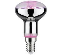 Paulmann Lampe pour plantes à LED, croissance 230 V E14 4 W ambré 1 pc(s)