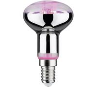 Paulmann 28734 Lampe LED LumiÃšre horticole 4 watts Ampoule LumiÃšre de croissance Éclairage LumiÃšre 1300 K E14