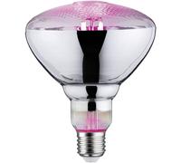 Paulmann 28737 Lampe LED Lumière horticole 6,5 watts Ampoule Lumière de croissance Éclairage Verre Lumière 1300 K E27