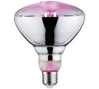 Paulmann Lampe pour plantes à LED, croissance 230 V E27 6.5 W ambré 1 pc(s)
