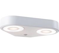 Paulmann LED Applique murale d'extérieur Silma Détecteur de mouvement àcrépusculaire (IR) Double sortie de lumière