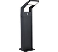 Paulmann LED Borne d'éclairage Juntea Détecteur de mouvement àcrépusculaire (IR)