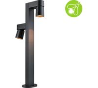 Paulmann LED Borne d'éclairage Kimu respectueuse des insectes