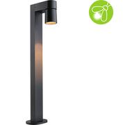 Paulmann LED Borne d'éclairage Kimu respectueuse des insectes