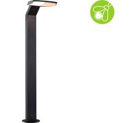 Paulmann LED Borne d'éclairage Zenera respectueuse des insectes
