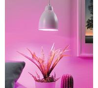 Paulmann Neordic Hilla Suspension, Blanche