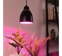 Paulmann Neordic Hilla Suspension, Noire