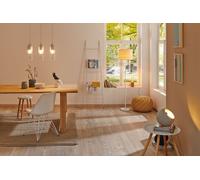 Paulmann Neordic Vanja Suspension max.3x20W E27 Gris / Clair 230V Verre/Métal